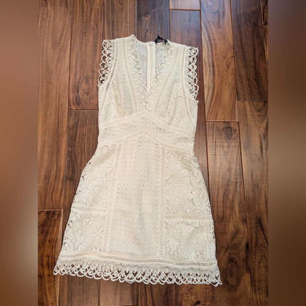 French connection Zhara Lace Dress Size 2 Worn Once Euc